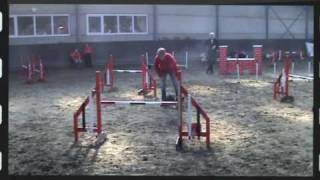 Luna Tale Ejay's winner for the Agility EO 2011