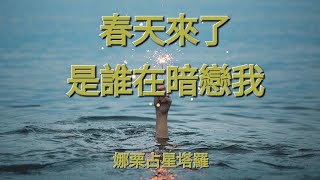 [Natalie Tarot]有人在偷偷暗戀我嗎他是誰有何特徵星座 人格特質……),不限關係身份timeless時間軸在留言區