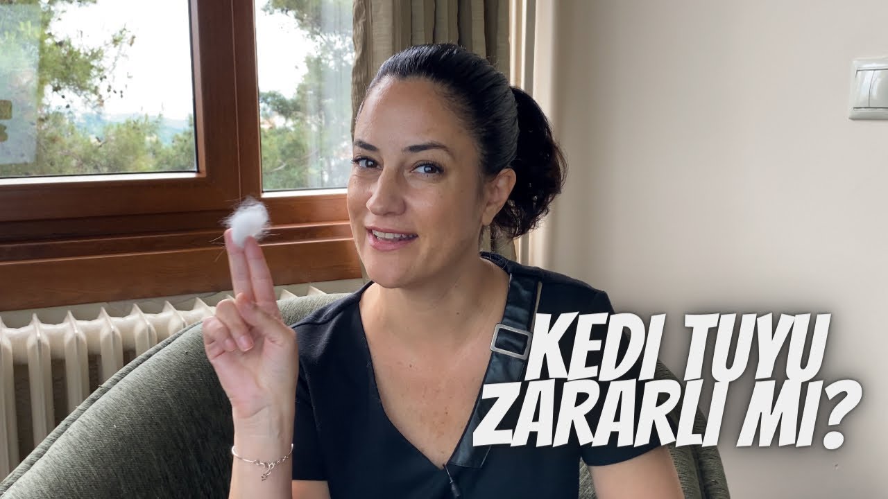 Kedi tüyü bize zararlı mı? Kist yapar mı? Ne yapmamız lazım?