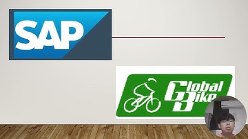 ACC20007 Management Accounting Assignment Part 2 ERP and SAP