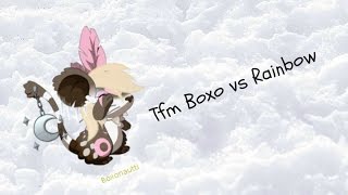 TRANSFORMICE boxo vs rainbow