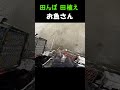 【田んぼ】黄色いお魚さん #shorts