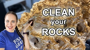 Hoe verwijder je algen van rotsen (en aquariumdecoraties)