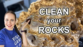 How to Remove Algae from Rocks (and aquarium decorations)