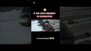 7 - 9 мая с праздником #деньпобеды #войска #армия #солдаты #приколы #смех