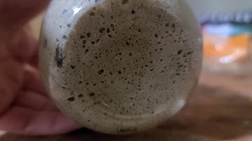 How To Make Sourdough Starter - No Discard
