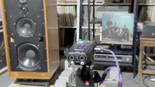 Audio Note M1 RIAA + Pinnacle ECC83 + The Cranberries 3