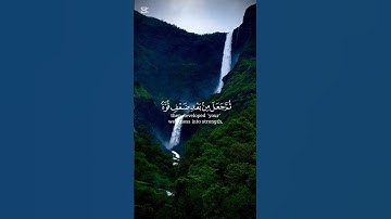 سورة الروم الشيخ اسلام صبحي