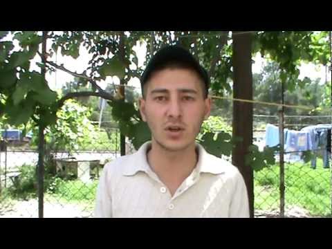 სტუდენტთა საინიციატივო ჯგუფი 2012.05.30