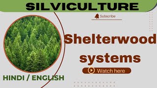 Shelterwood system || silviculture@scoringscience4120