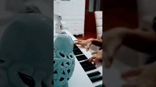 Ay Işığı Sonatı (Moon Light Sonata)