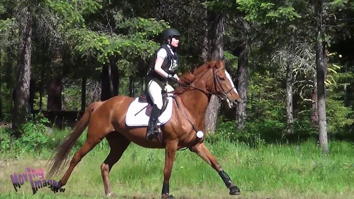Dana Webber; Equestrians Institute HT May 2018