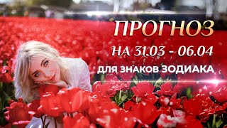 :    (31.03- 06.04)         