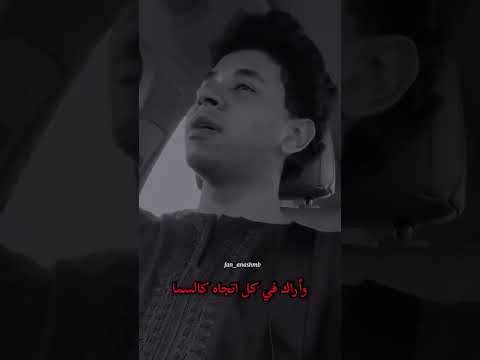 مفارقي أنس البرقي 