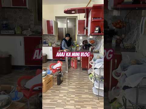 Aaj ka mini vlog