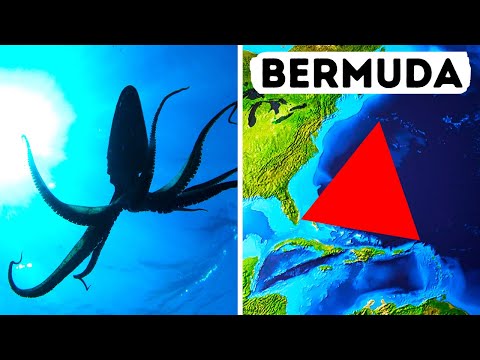 Dev Kalamarlar Bermuda Şeytan Üçgeninin Gizemini Ortaya Çıkarabilir