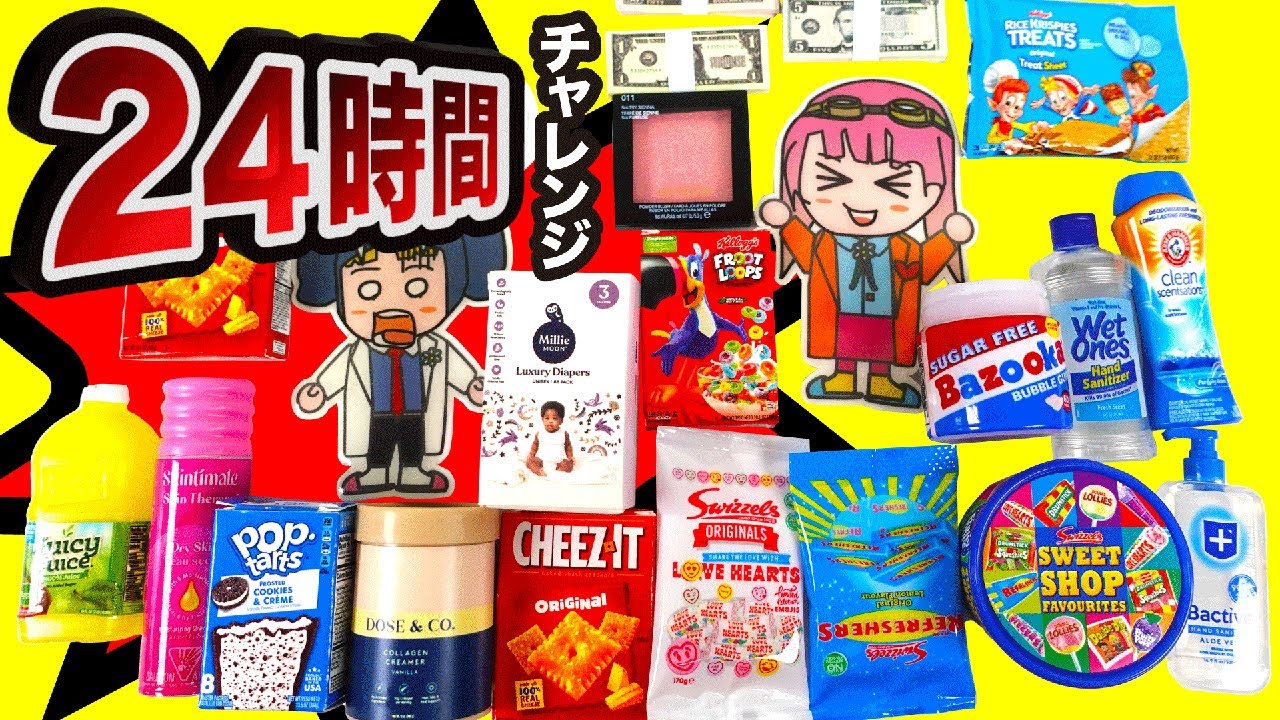 【24時間！カプセルチャレンジ】 カプセルから出てきたものだけで24時間生活！果たして成功するのかな？【ミニブランズ】【はんちゃんラボTV】