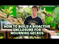 Building a mourning gecko enclosure with the dude