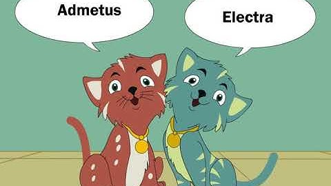 E-Learning Animation