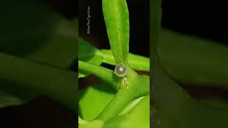 🦋 The Beginning of a New Journey 🌿