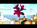 Ref:HG89tp2zLVI Jean louis lesacher - es / album "es"