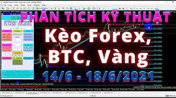 Phân tích kỹ thuật kèo tuần Forex, BTC, Vàng từ 14/6 đến 18/6/2021