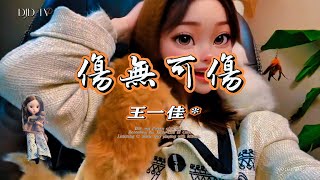 王一佳 - 傷無可傷『就像大梦一场 醒来就散场，你的痕迹消失徒留惆怅』 ♫Animated cat background