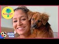 Taino The Island Dog Goes On A Plane Ride With His Rescuers | Dodo Kids: Rescued!