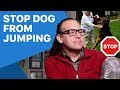 How to stop a jumping dog, dog training tips. Stopped in 1 second.