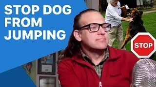 How to stop a jumping dog, dog training tips. Stopped in 1 second.