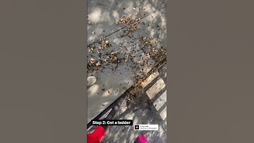 How to make $300 in 1 Minute with Gutter Cleaning #shorts