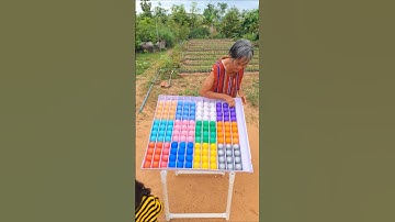 Ball Sort Puzzle Game Champion Brian Training #challenge #sortcolor #game  #puzzle #gameball