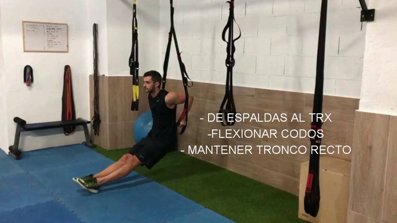 TRX TRICEPS DIPS YouTube