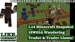 1.14 Minecraft Snapshot 19W05A Wandering Trader & Trader Llama