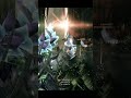 Corvas Prime Meta Build with Dispensary Unlimited ammo #warframegameplay #warframeislife #gaming