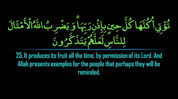 Surah Ibrahim | Maher al Mu'aqily  سورة ابراهيم | ماهر المعيقلي