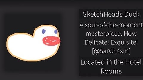 Find the Ducks Fully Explained: Sketchhead Duck