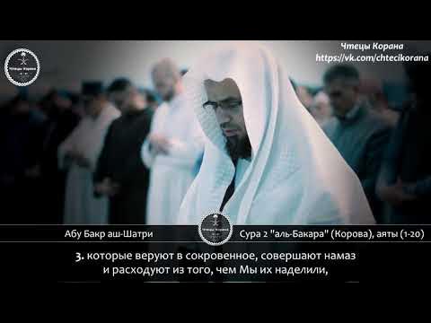 Чеченская коран абу бакр. Чтец корана мухаммад аль. Коран абу бакра. Абу бакр шатри фото. Коран абу бакра.