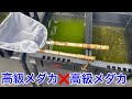 【感動！】メダカ用タモ網が完成しました/こんな異種交配メダカどうなの？