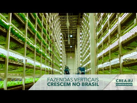 Vídeo: Onde estão as fazendas verticais?