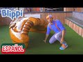Blippi visita un estadio de beisbol | Compilación | Aprende con Blippi |  @Blippi Español