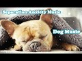 Deep sleep dog musicdog separation anxiety musicdog sleep music for dogs