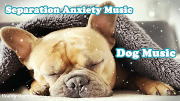 Deep Sleep Dog Music🐶💖Dog Separation Anxiety Music🐶🎵Dog Sleep Music for dogs🐶
