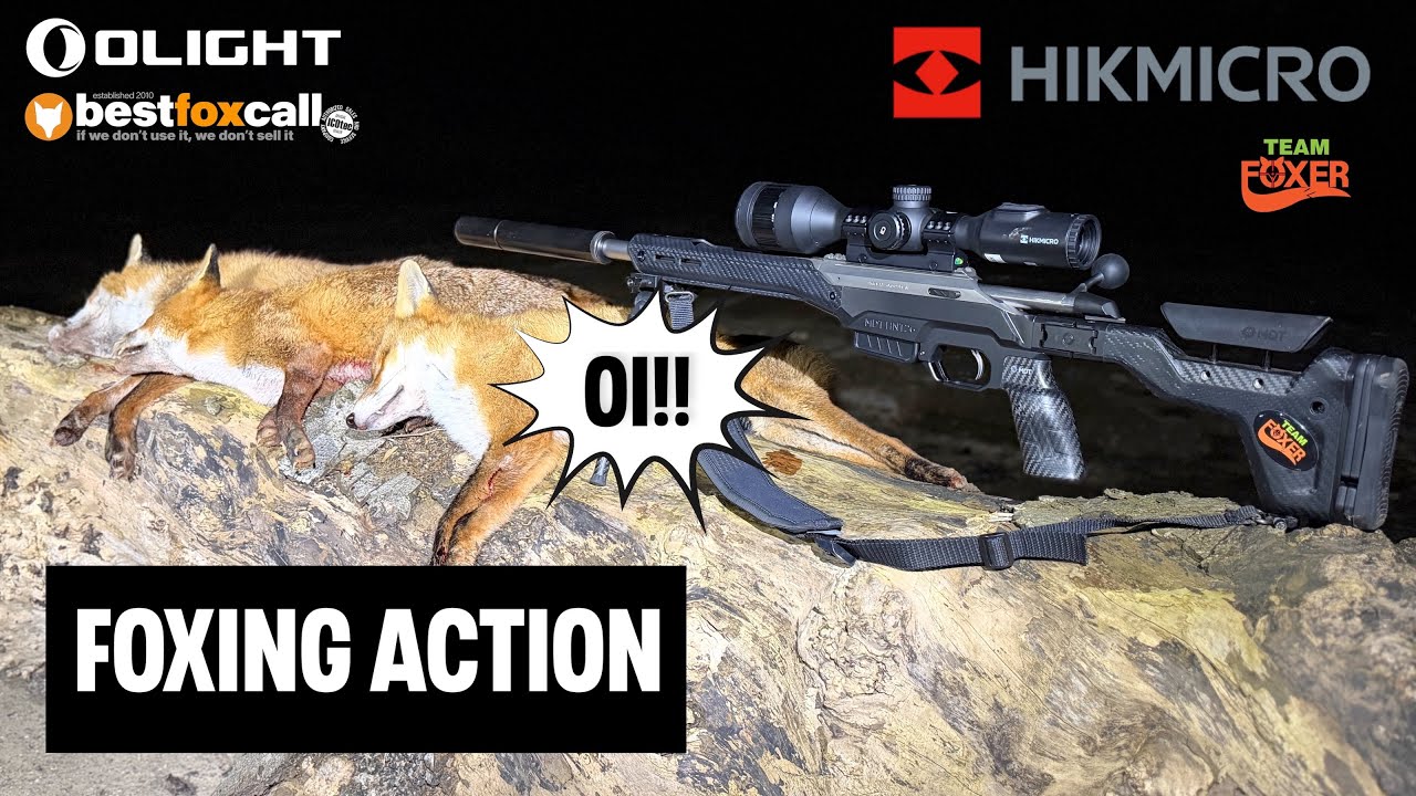 Fox Control using my favourite thermal scope the HIKMICRO Stellar SQ50L 3.0
