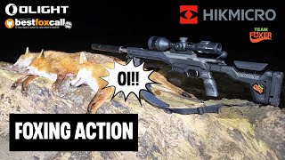 Download Lagu Fox Control using my favourite thermal scope the HIKMICRO Stellar SQ50L 3.0 MP3