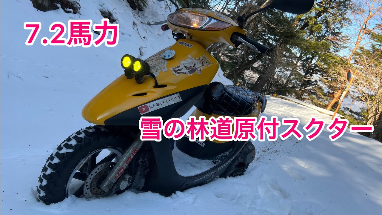 2152.貴重な1型♪　ライブディオ　始動性良好　千葉県柏市　即日配送、自走引き取りも可能 ライブディオZX配達可(そこそこ整備しました) (佐藤輪店) 実籾のホンダ