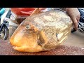 TITAN TIGER FISH CUTTING | මුහුදු කුකුළා (පොතුබරි)