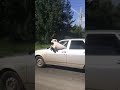 Пёс зарулем автомобиля