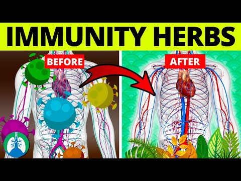 Video: 5 Tips To Fight Viruses Naturally