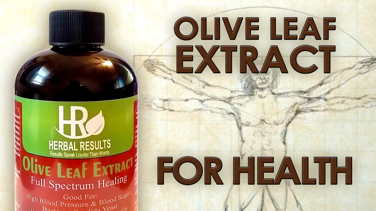 BENEFITS OF OLIVE LEAF EXTRACT For Health !! YouTube